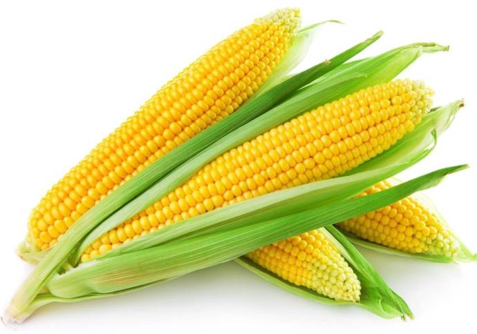 Yellow sweet corn
