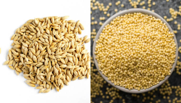 Barley and millet