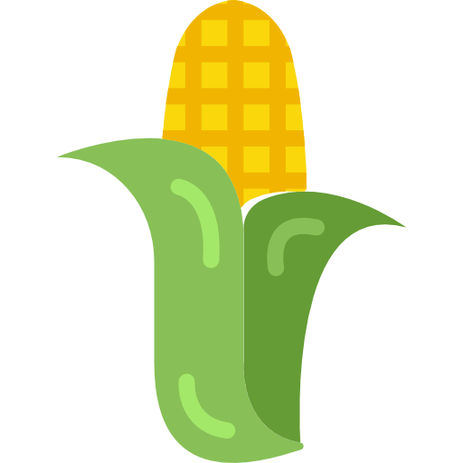 Corn on the cobs