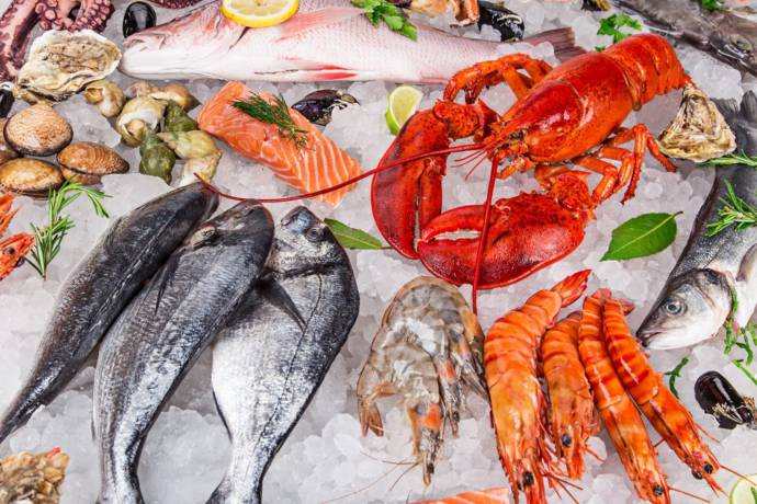Seafoods like salmon fish, Oysters and shrimps