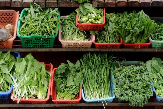 Best diet of green leafy vegetables for patients with Psoriasis