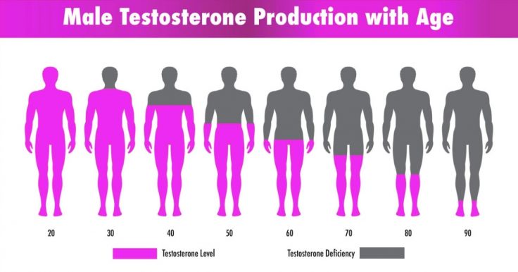 Testosterone Foods